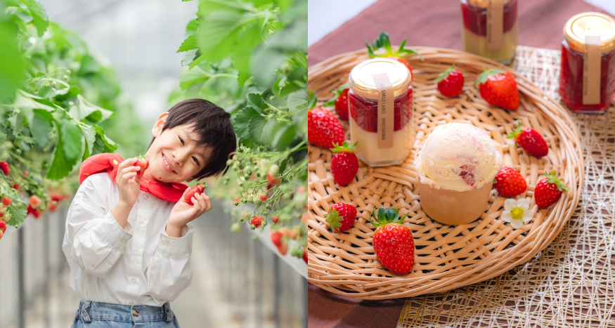 SMILE-LABO HIROSHIMA